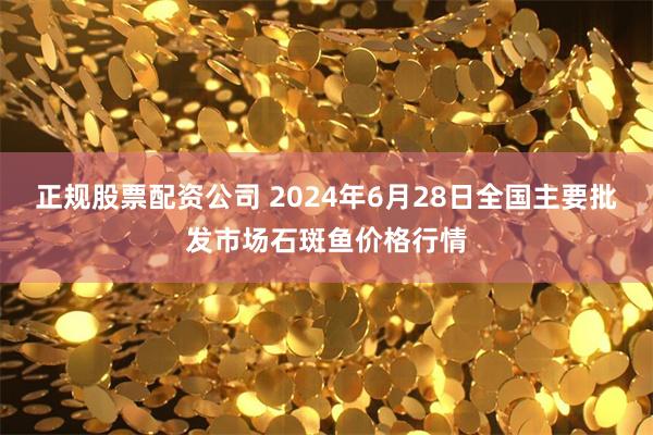 正规股票配资公司 2024年6月28日全国主要批发市场石斑鱼价格行情